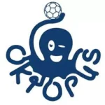 Oktopus Student Handball